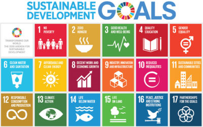 The UN SDG Goals: Health and Water, & The Opportunity to Serve